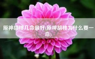 原神胡桃几命最好(原神胡桃为什么要一命)