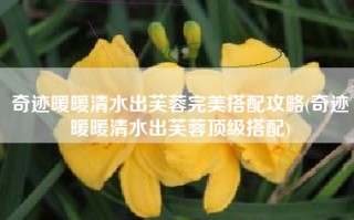 奇迹暖暖清水出芙蓉完美搭配攻略(奇迹暖暖清水出芙蓉顶级搭配)
