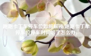 跑跑卡丁车停车位如何解锁(跑跑卡丁车停车位停车时间够了怎么办)