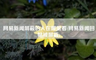 网易新闻屏蔽的人在哪里看(网易新闻回帖被屏蔽)