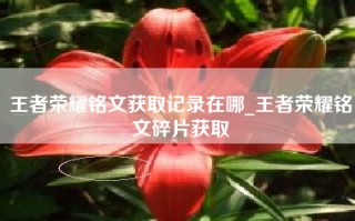 王者荣耀铭文获取记录在哪_王者荣耀铭文碎片获取