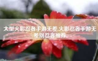 大型火影忍者手游无差,火影忍者手游无差别忍者推荐