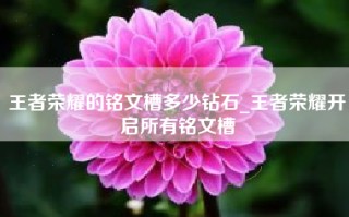 王者荣耀的铭文槽多少钻石_王者荣耀开启所有铭文槽