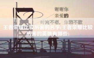 王者荣耀比较厉害的名字(王者荣耀比较厉害的英雄有哪些)
