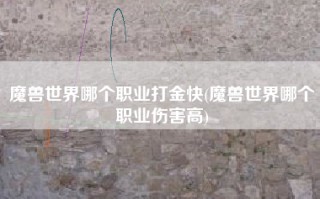 魔兽世界哪个职业打金快(魔兽世界哪个职业伤害高)