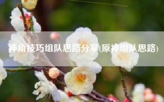 神角技巧组队思路分享(原神组队思路)