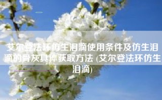 艾尔登法环仿生泪滴使用条件及仿生泪滴的骨灰具体获取方法 (艾尔登法环仿生泪滴)