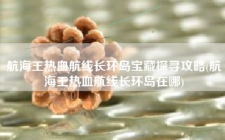 航海王热血航线长环岛宝藏探寻攻略(航海王热血航线长环岛在哪)