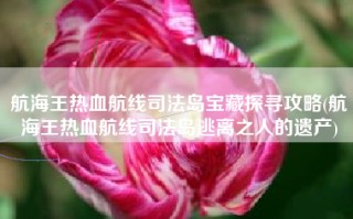航海王热血航线司法岛宝藏探寻攻略(航海王热血航线司法岛逃离之人的遗产)