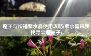 魔王与神锤紫水晶使用攻略(紫水晶带我找寻半魔王子)