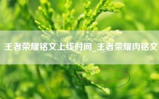 王者荣耀铭文上线时间_王者荣耀肉铭文