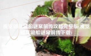 视觉错乱诡船谜案前传攻略完整版(视觉错乱诡船谜案前传下载)