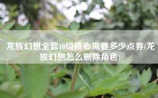 龙族幻想全套10级核心需要多少点券(龙族幻想怎么删除角色)