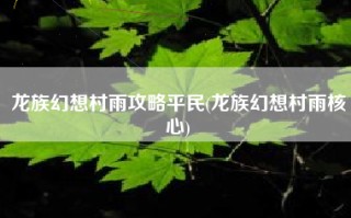 龙族幻想村雨攻略平民(龙族幻想村雨核心)