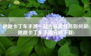 跑跑卡丁车手游一起去环游任务如何做(跑跑卡丁车手游官网下载)