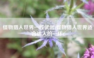 怪物猎人世界一线武器(怪物猎人世界适合达人的一环)