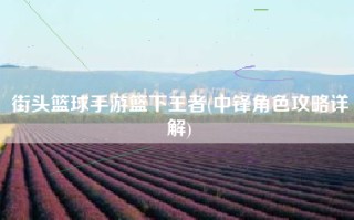 街头篮球手游篮下王者(中锋角色攻略详解)