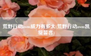 荒野行动awm威力有多大(荒野行动awm凯旋誓言)