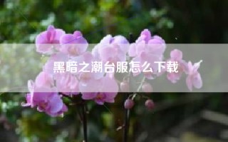 黑暗之潮台服怎么下载
