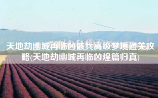 天地劫幽城再临凶骸兵高级梦境通关攻略(天地劫幽城再临凶煌篇归真)