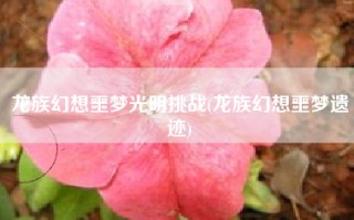 龙族幻想噩梦光明挑战(龙族幻想噩梦遗迹)