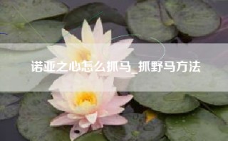 诺亚之心怎么抓马_抓野马方法