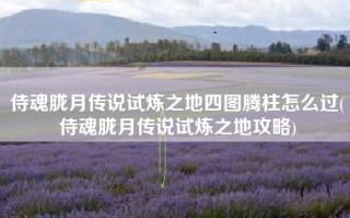 侍魂胧月传说试炼之地四图腾柱怎么过(侍魂胧月传说试炼之地攻略)