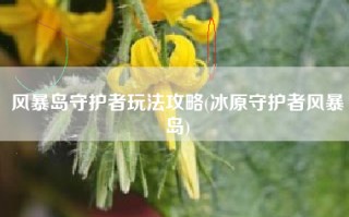 风暴岛守护者玩法攻略(冰原守护者风暴岛)