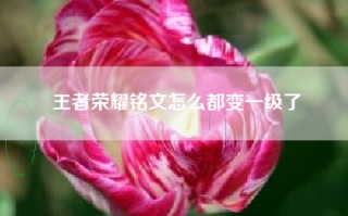王者荣耀铭文怎么都变一级了