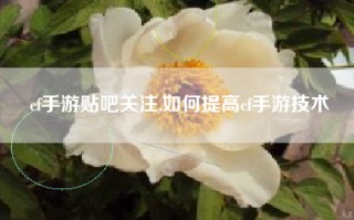 cf手游贴吧关注,如何提高cf手游技术