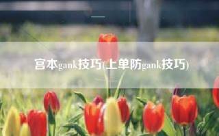 宫本gank技巧(上单防gank技巧)