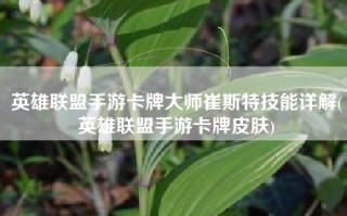 英雄联盟手游卡牌大师崔斯特技能详解(英雄联盟手游卡牌皮肤)