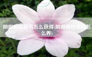 阴阳师姑获鸟怎么获得(阴阳师姑获鸟怎么养)