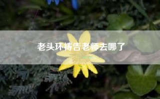 老头环祷告老师去哪了