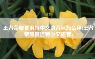 王者荣耀夏洛特中文语音包怎么用(王者荣耀夏洛特中文语音)