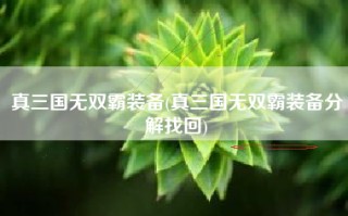 真三国无双霸装备(真三国无双霸装备分解找回)