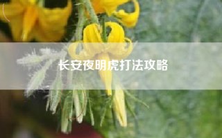 长安夜明虎打法攻略