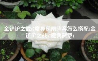 金铲铲之战s7魔导凤凰阵容怎么搭配(金铲铲之战s7魔典徽章)