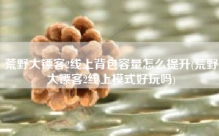荒野大镖客2线上背包容量怎么提升(荒野大镖客2线上模式好玩吗)