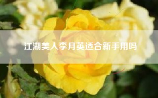 江湖美人李月英适合新手用吗