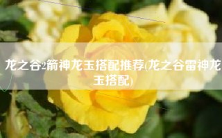 龙之谷2箭神龙玉搭配推荐(龙之谷雷神龙玉搭配)