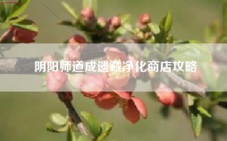 阴阳师道成遗藏净化商店攻略