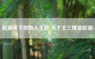 起源天下创始人王政(天下王三槐堂起源)