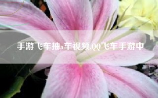 手游飞车抽a车视频,QQ飞车手游中