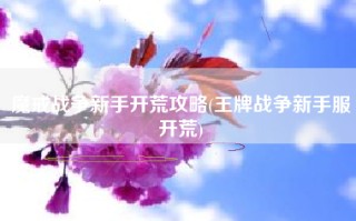 魔戒战争新手开荒攻略(王牌战争新手服开荒)
