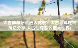 太古仙尊怎么进入魔域？太古仙尊魔域玩法分享(太古仙尊怎么进入仙界)