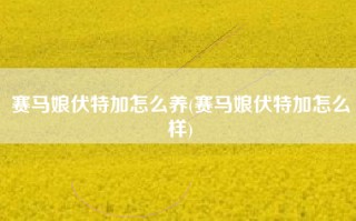 赛马娘伏特加怎么养(赛马娘伏特加怎么样)