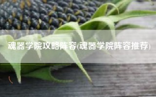 魂器学院攻略阵容(魂器学院阵容推荐)