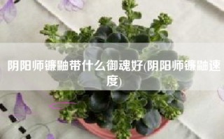 阴阳师镰鼬带什么御魂好(阴阳师镰鼬速度)