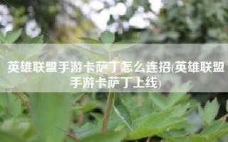 英雄联盟手游卡萨丁怎么连招(英雄联盟手游卡萨丁上线)